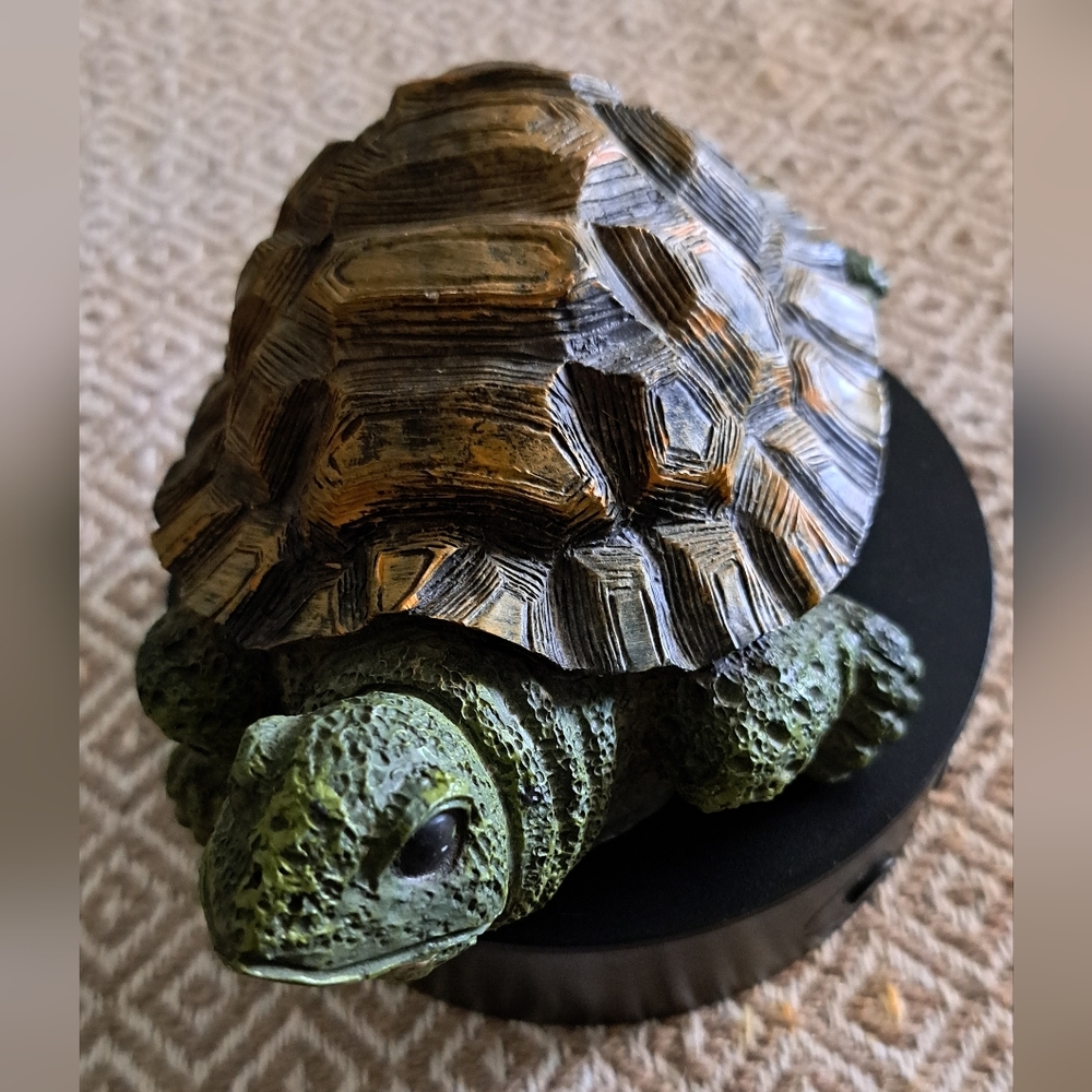 Fabulous turtle